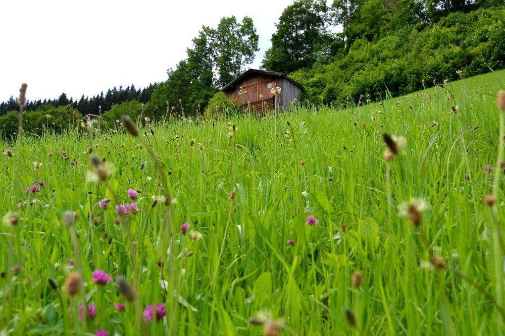 Chalets & Apartments Wachterhof Кальтенбах Екстер'єр фото